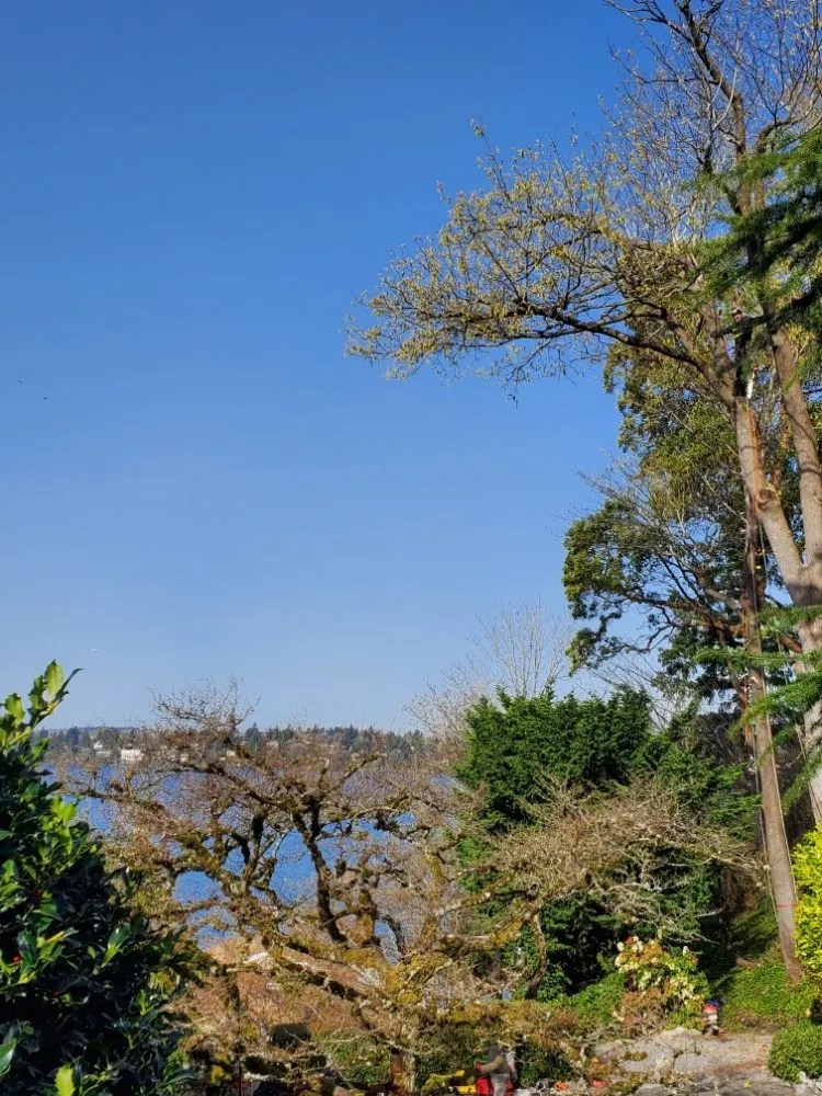 Custom landscape installation experts serving Snohomish, WA - Kenny Tree