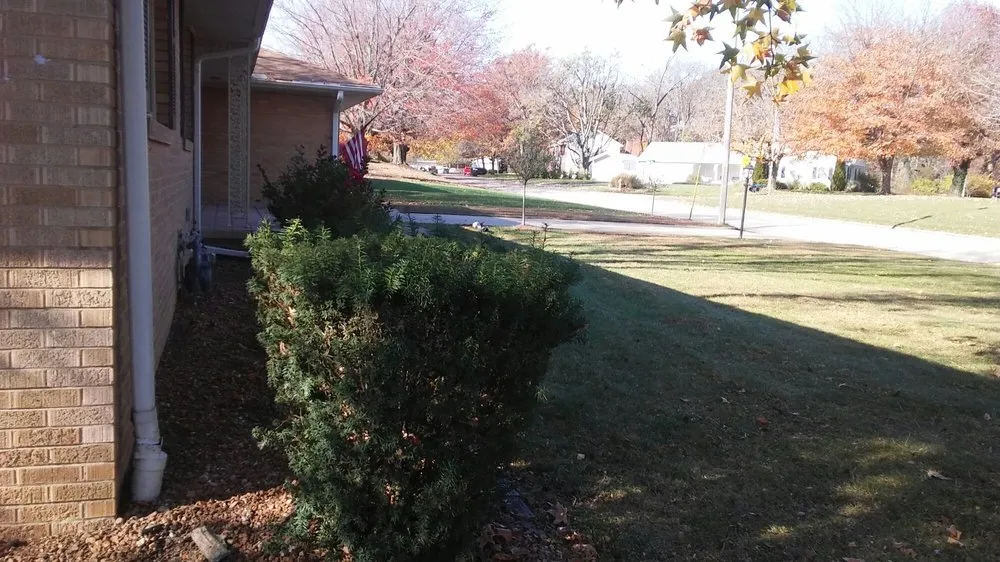 Expert yard cleanup service experts serving Decatur, IL - Kenny Williams Lawn Services