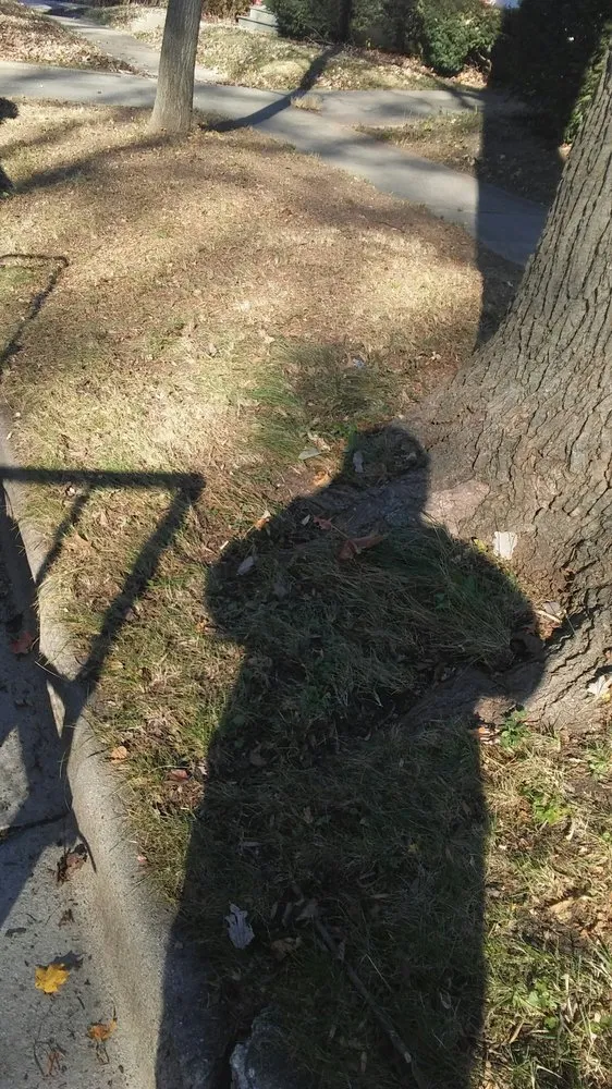 Top-rated garden landscaping near you across Decatur, IL - Kenny Williams Lawn Services