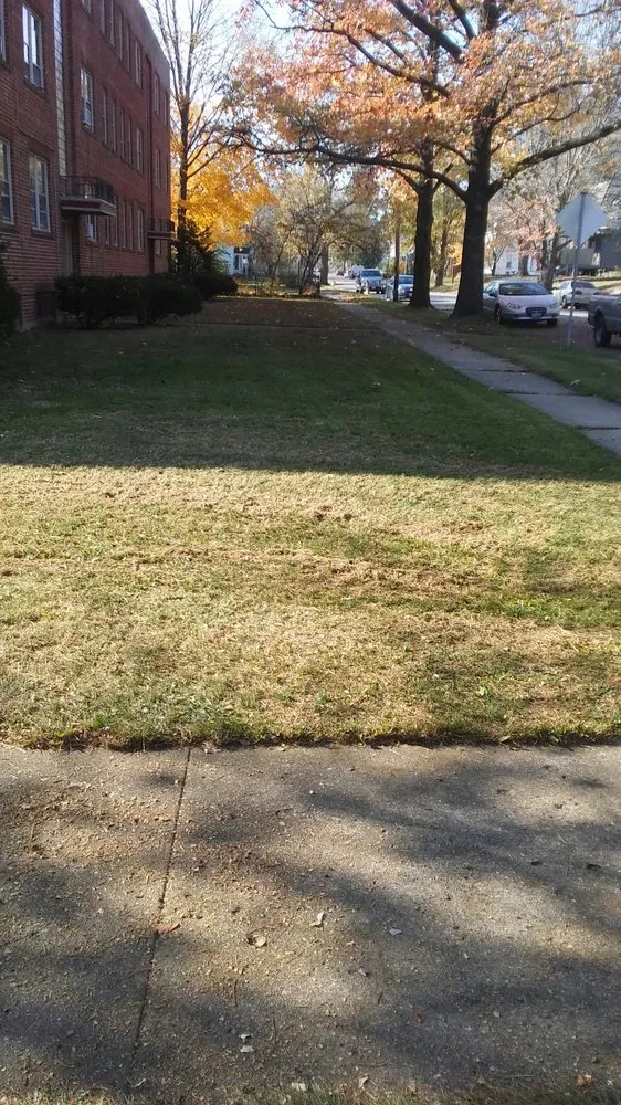 Local landscape installation for outdoor upgrades across Decatur, IL - Kenny Williams Lawn Services