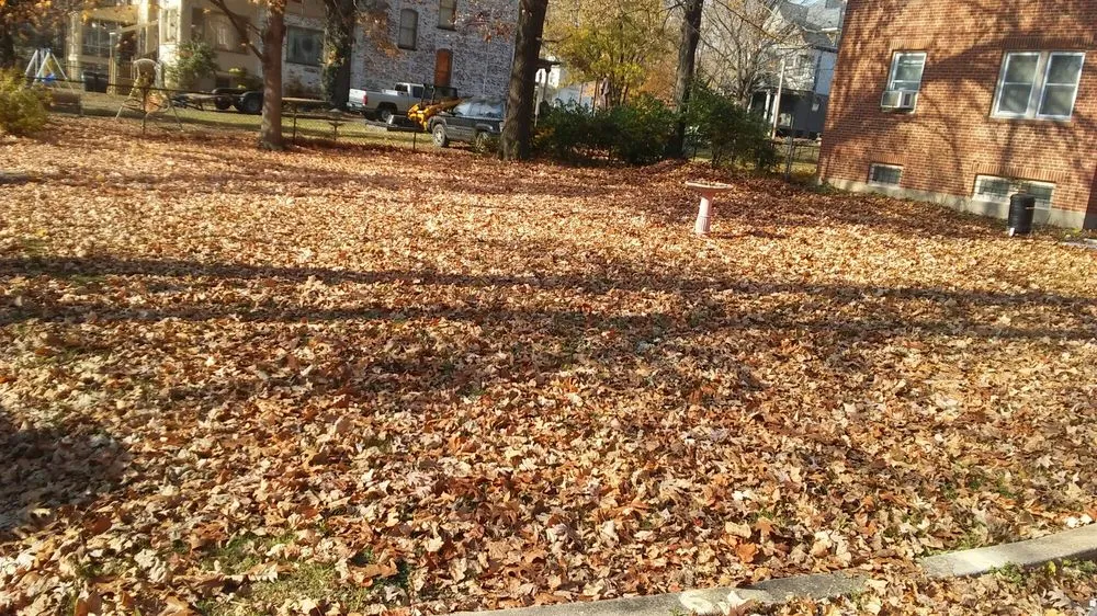 Local lawn care service in Decatur, IL by Kenny Williams Lawn Services