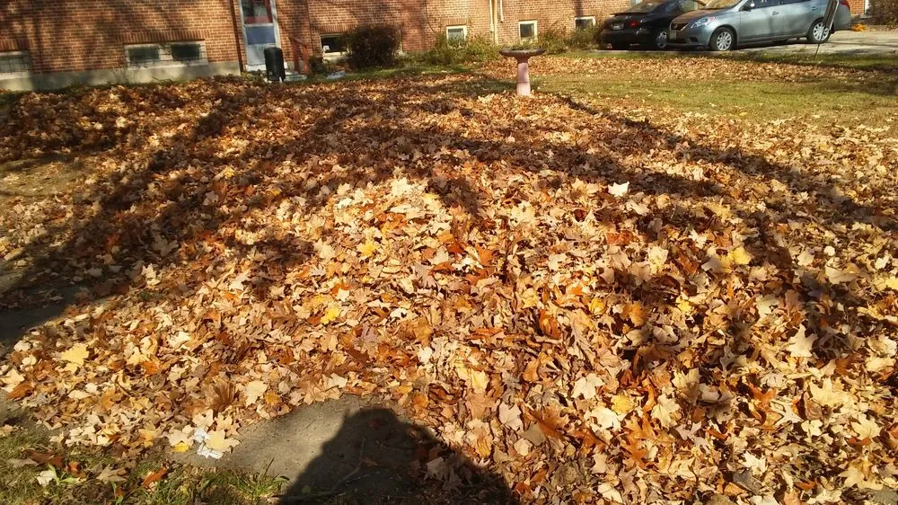 Custom outdoor landscaping experts serving Decatur, IL - Kenny Williams Lawn Services