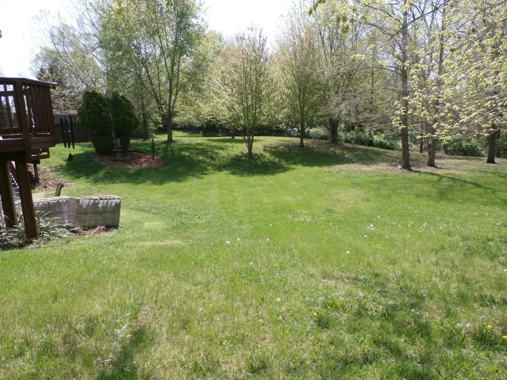 Top-rated yard cleanup service experts serving Decatur, IL - Kenny Williams Lawn Services