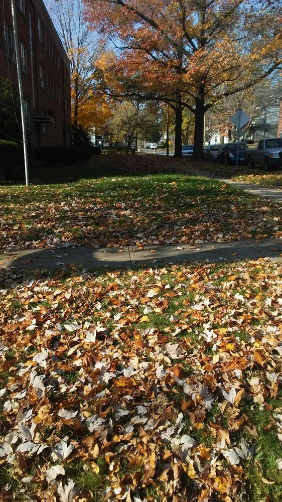 Trusted garden landscaping with custom design across Decatur, IL - Kenny Williams Lawn Services