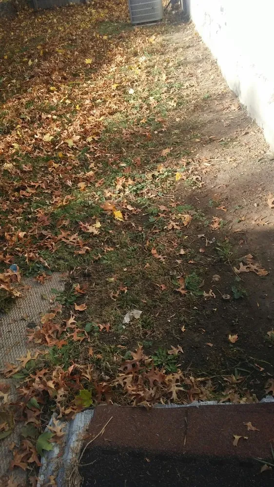 Affordable lawn care service for outdoor upgrades across Decatur, IL - Kenny Williams Lawn Services