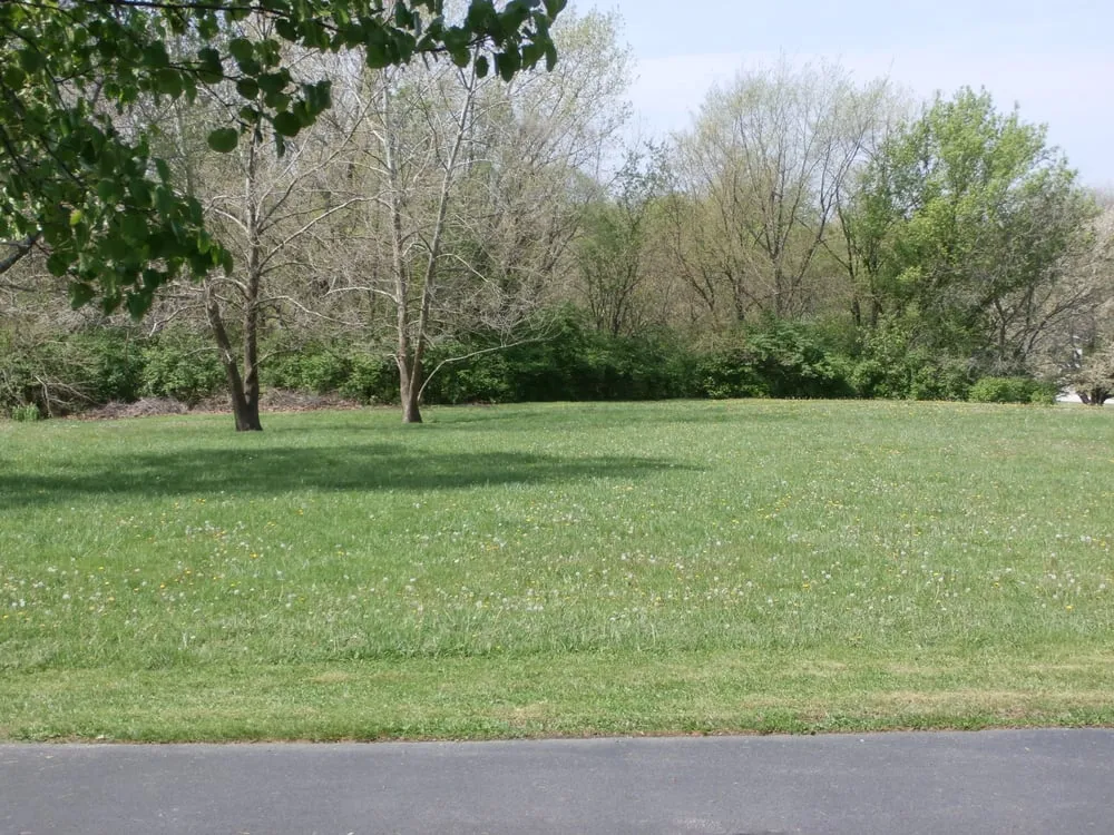 Professional lawn mowing service in Decatur, IL - Kenny Williams Lawn Services
