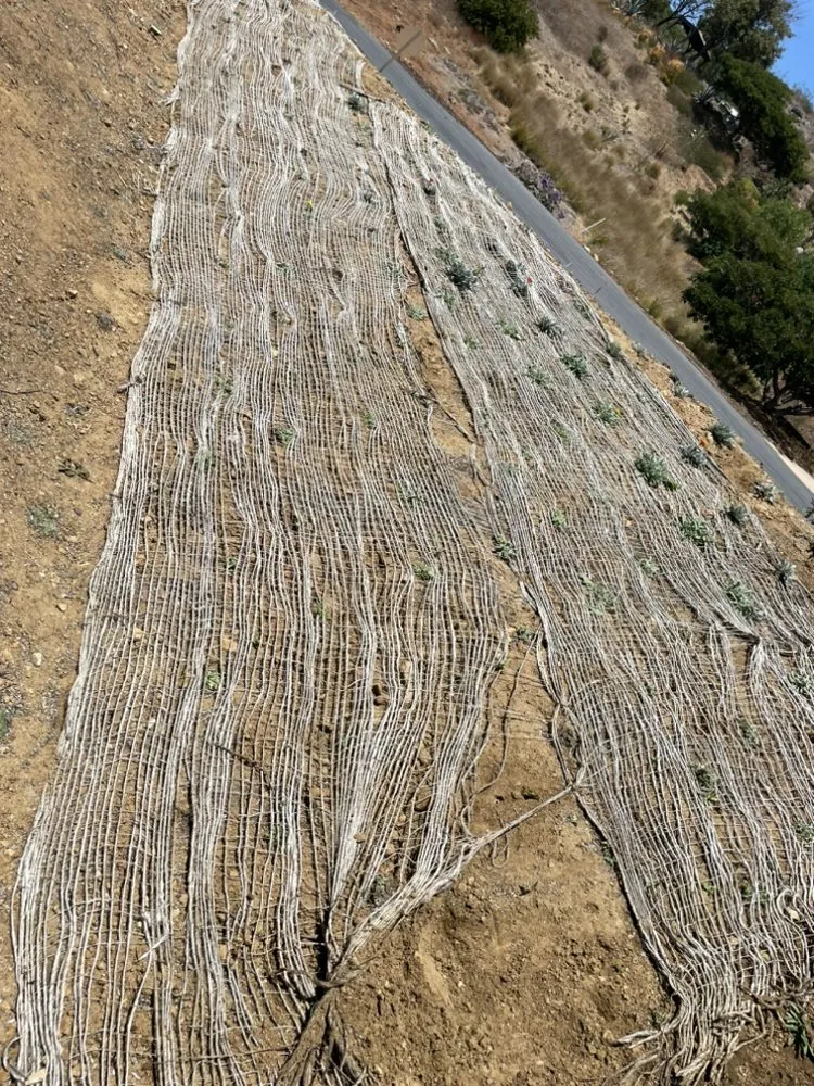 Local outdoor landscaping in San Diego, CA by Kennys Handy