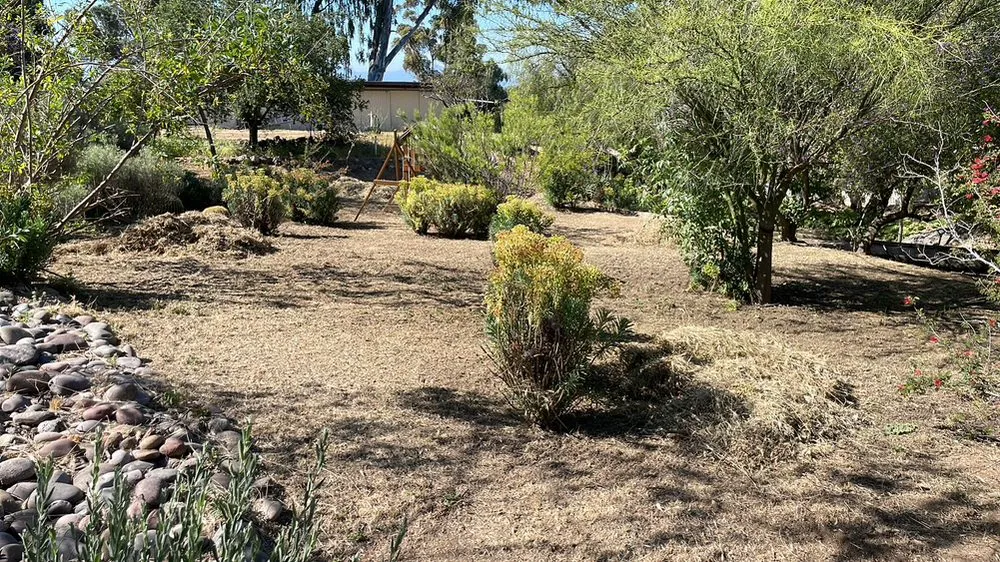 Affordable garden landscaping for year-round maintenance in San Diego, CA by Kennys Handy