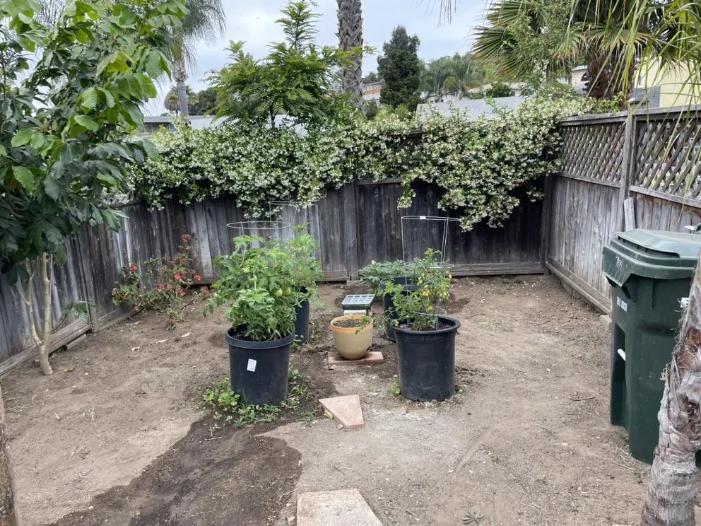 Expert lawn care service experts serving San Diego, CA - Kennys Handy