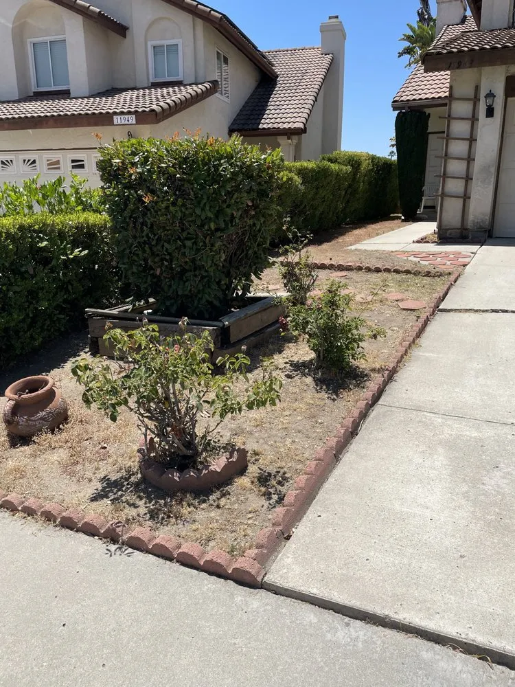 Top-rated lawn care service in San Diego, CA by Kennys Handy