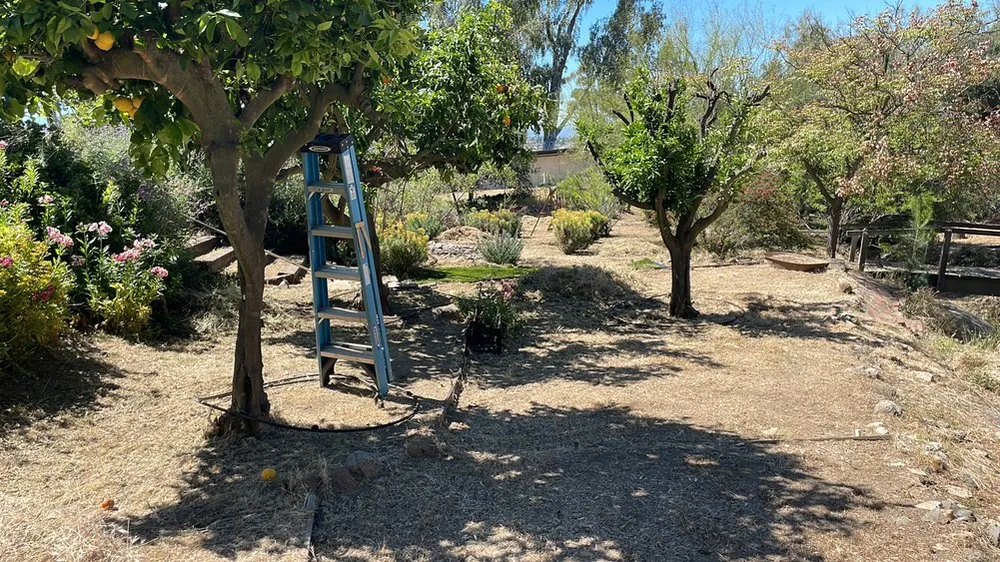 Local garden landscaping in San Diego, CA - Kennys Handy