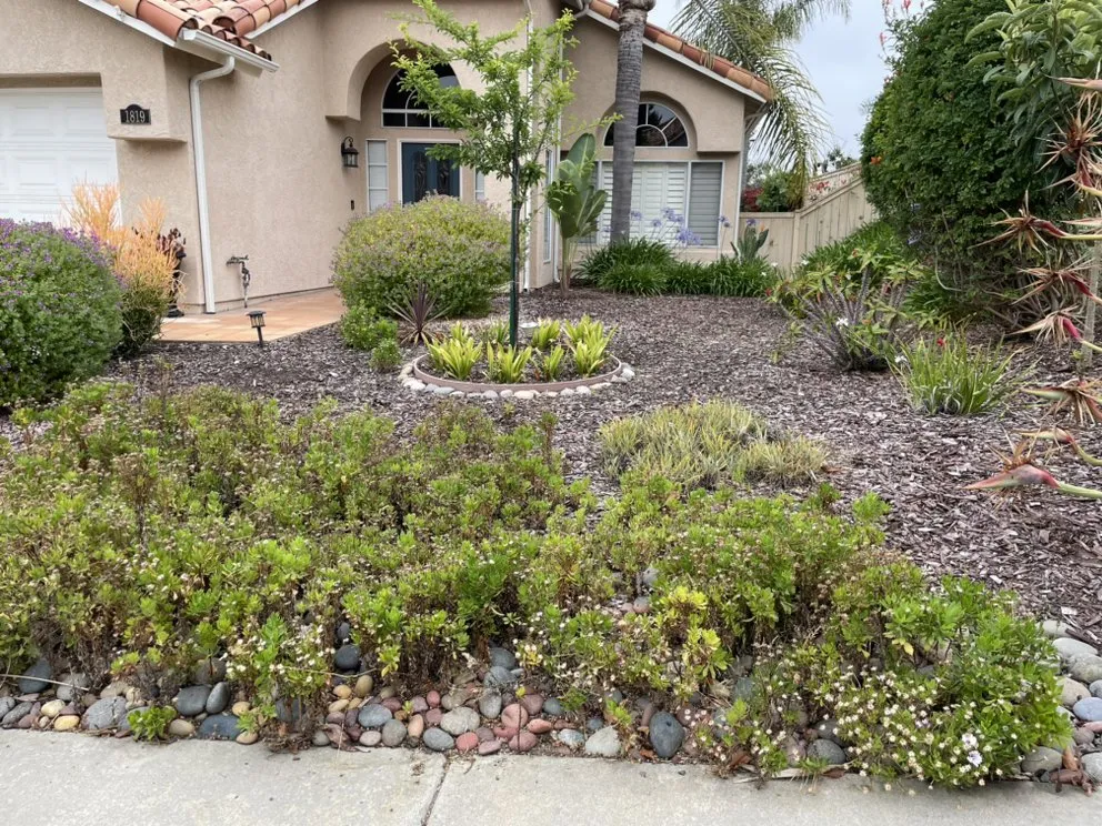 Affordable yard cleanup service in San Diego, CA - Kennys Handy