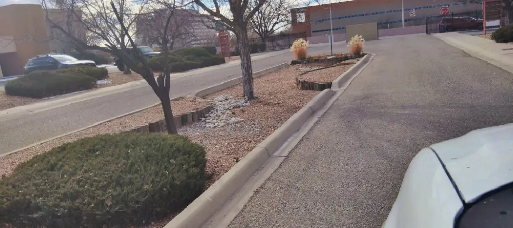 Expert landscaping services in Albuquerque, NM by Kennys Landscaping