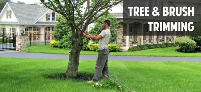 Local landscape design in Spotsylvania Courthouse, VA by Kenny’s Lawn & Yard Service