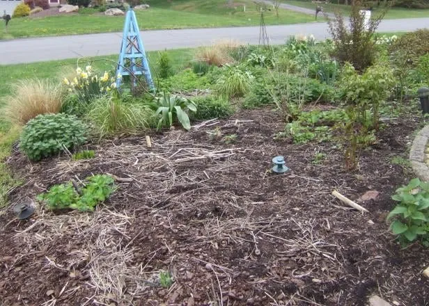 Local outdoor landscaping in Spotsylvania Courthouse, VA - Kenny’s Lawn & Yard Service