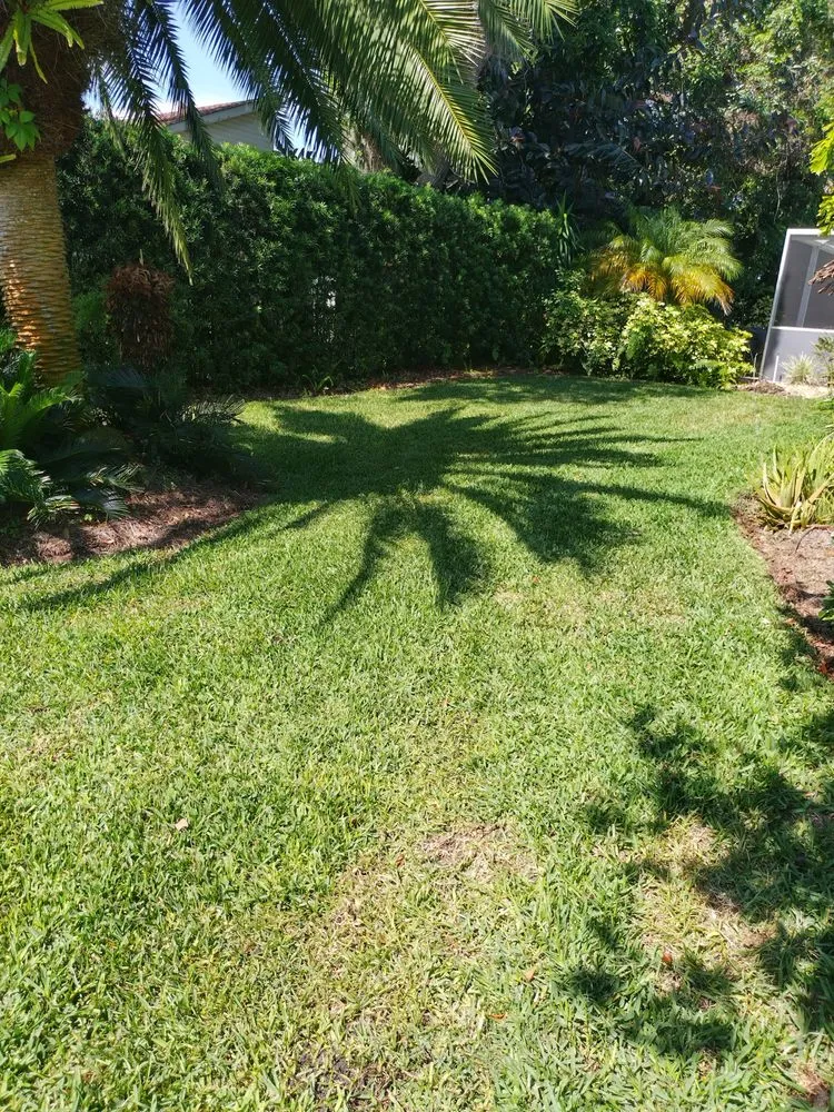 Reliable yard cleanup service for beautiful yards across New Port Richey, FL - Kenny's lawn and tree service