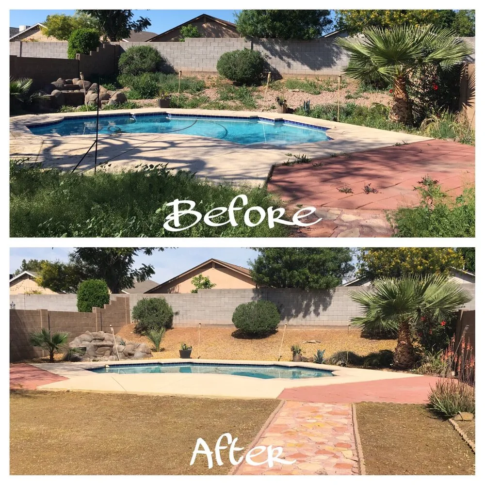 Reliable landscaping services in Phoenix, AZ - Kenny's Lawn Service