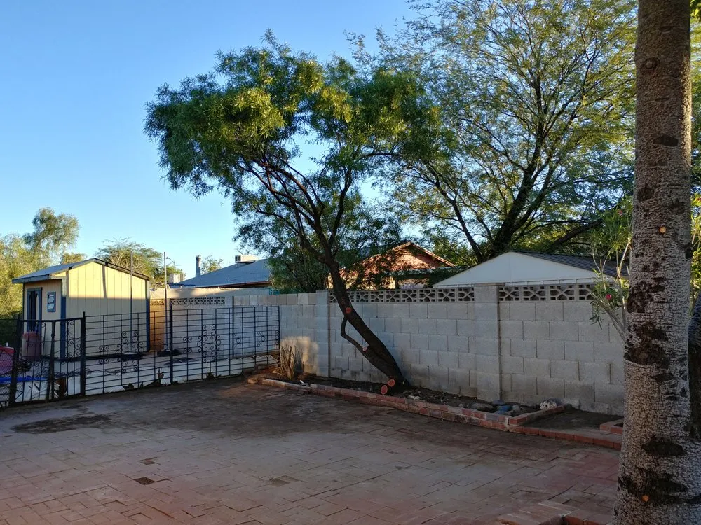 Trusted yard maintenance in Phoenix, AZ by Kenny's Lawn Service