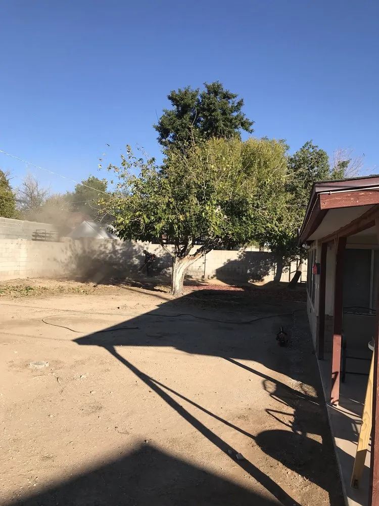 Professional lawn care service in Phoenix, AZ - Kenny's Lawn Service