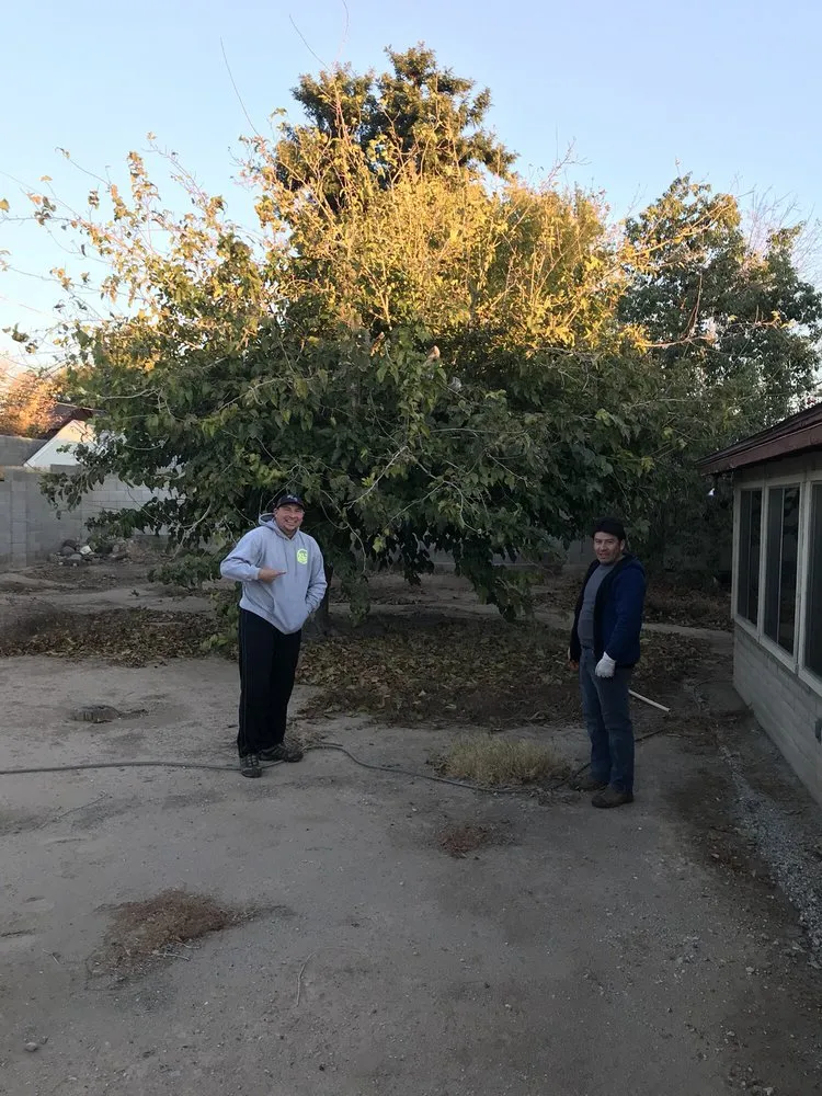 Professional landscape design in Phoenix, AZ - Kenny's Lawn Service