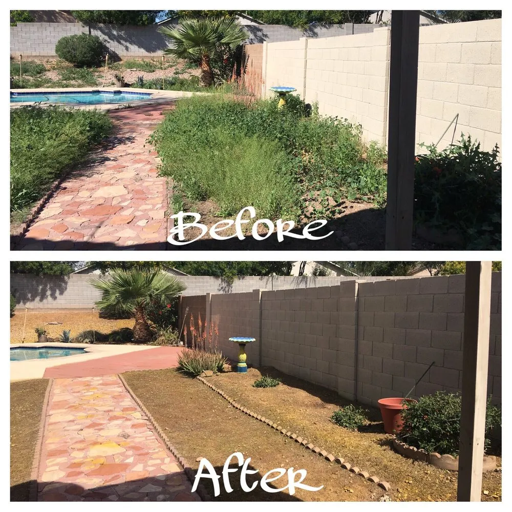 Expert landscape installation for homes across Phoenix, AZ - Kenny's Lawn Service