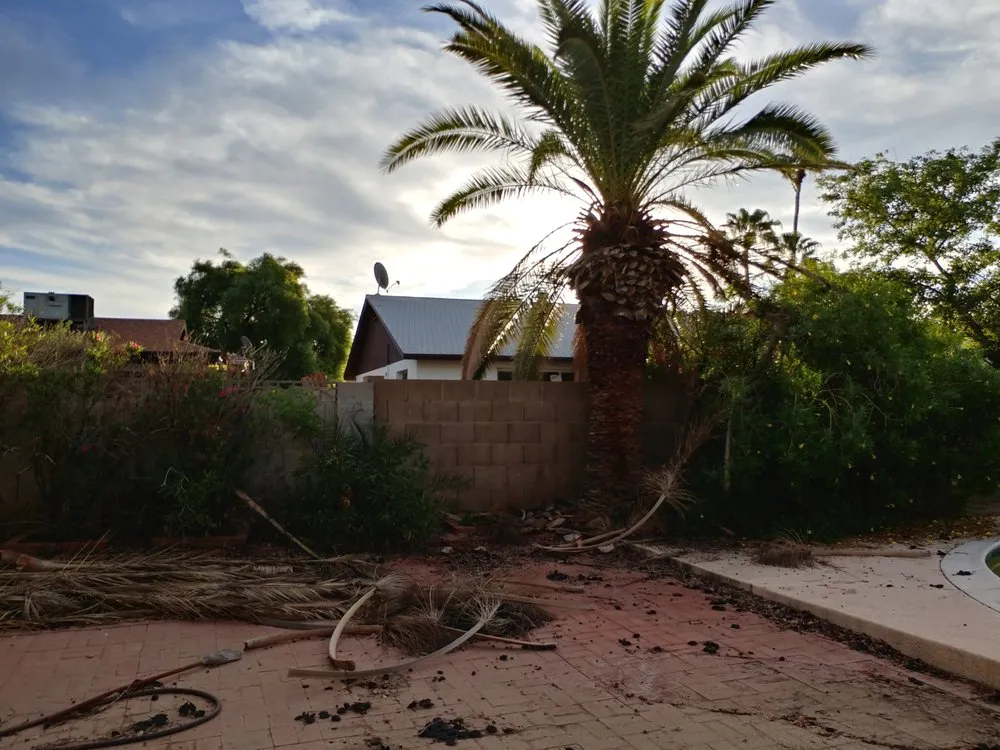 Trusted landscape design in Phoenix, AZ - Kenny's Lawn Service