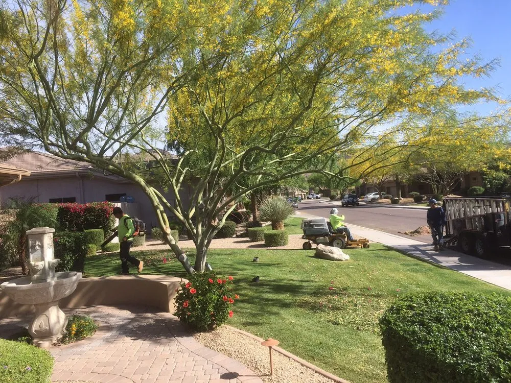 Top-rated landscaping services in Phoenix, AZ by Kenny's Lawn Service