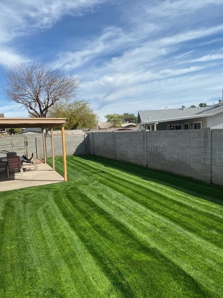 Expert yard cleanup service in Phoenix, AZ by Kenny's Lawn Service