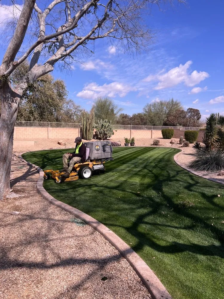 Expert landscaping services in Phoenix, AZ by Kenny's Lawn Service