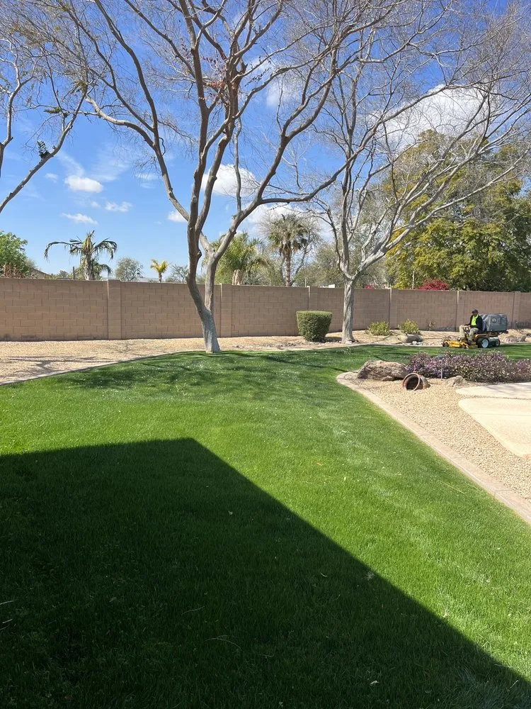 Custom yard maintenance for residential properties in Phoenix, AZ by Kenny's Lawn Service