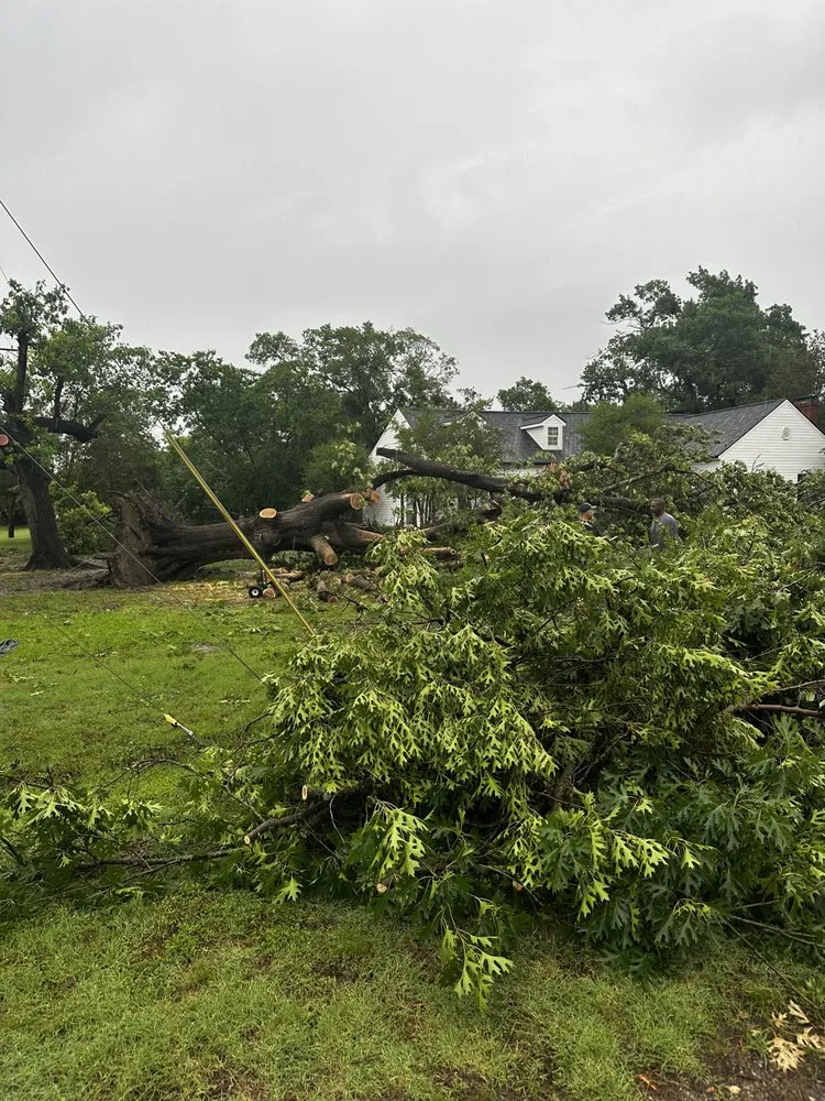 Trusted outdoor landscaping in Princeton, TX by Kennys Tree Service