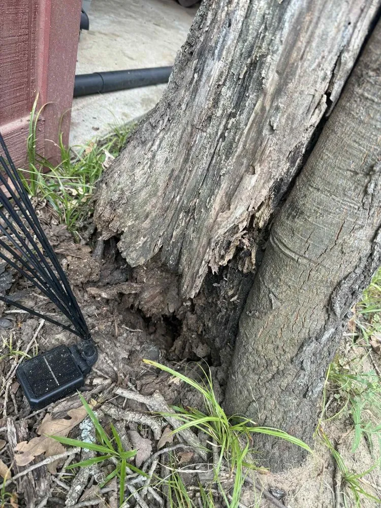 Professional outdoor landscaping for homes across Princeton, TX - Kennys Tree Service