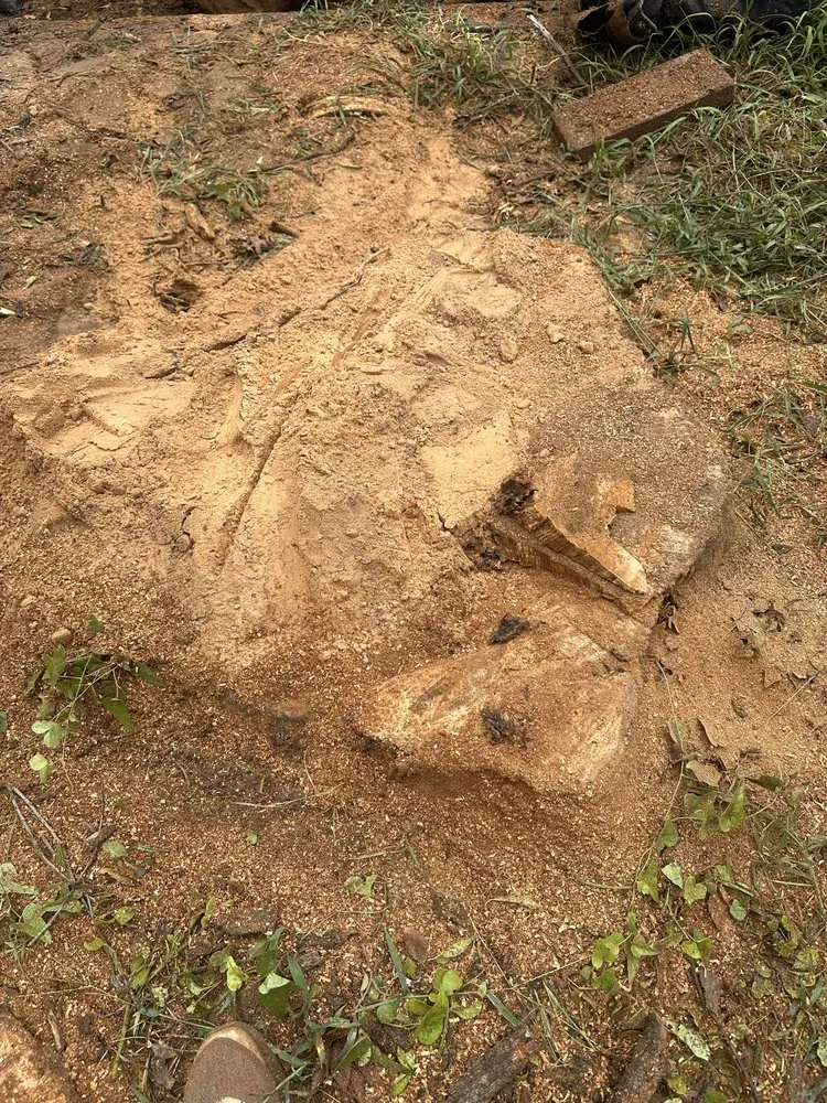 Affordable lawn care service in Princeton, TX by Kennys Tree Service