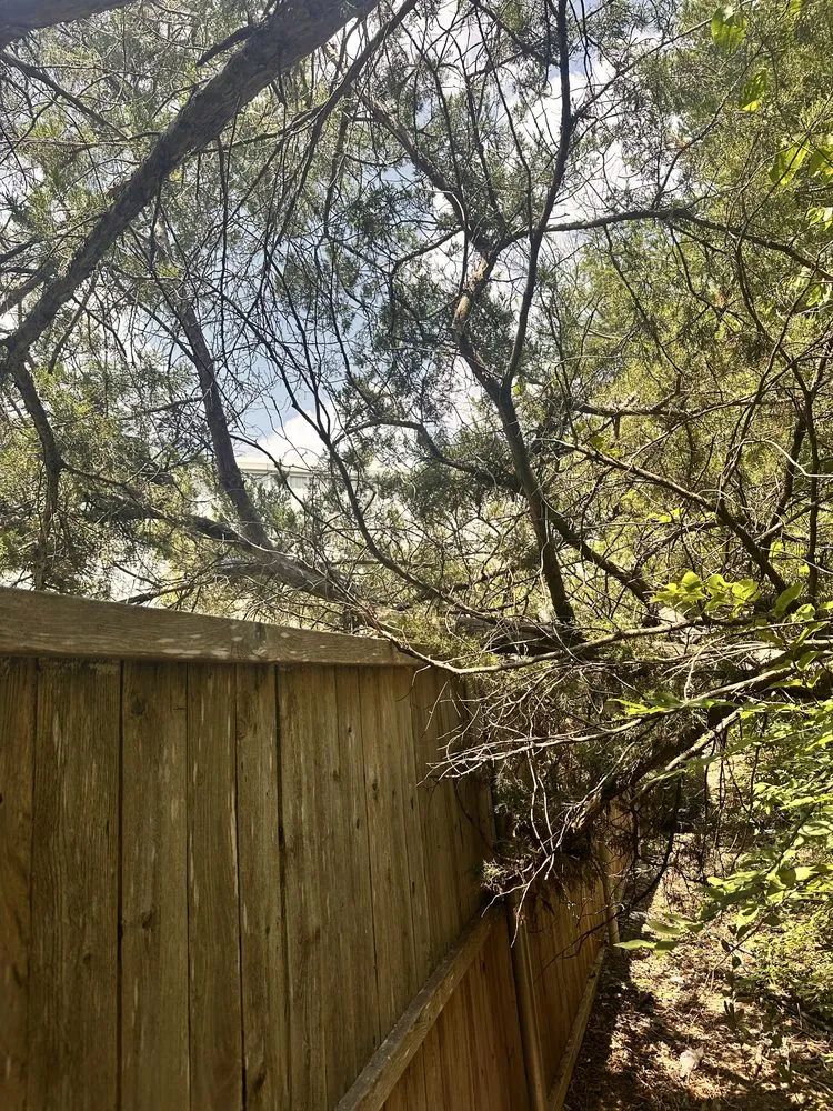 Professional yard cleanup service experts serving Princeton, TX - Kennys Tree Service