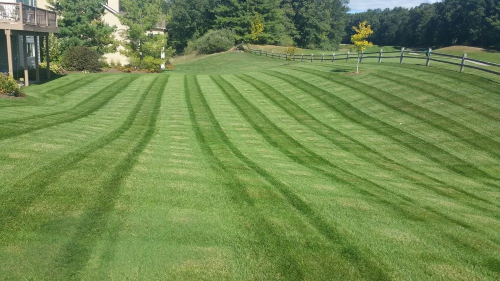 Top-rated lawn care service experts serving Comstock Park, MI - Kenowa Hills Lawncare