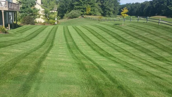 Kenowa Hills Lawncare
