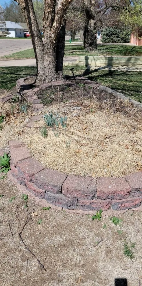 Expert lawn care service for outdoor upgrades in Beatrice, NE by Ken's disposal service