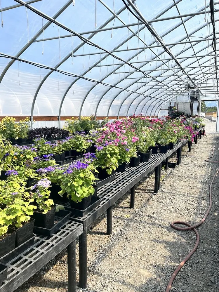 Expert lawn mowing service for residential properties in Wasilla, AK by Ken's Garden Center