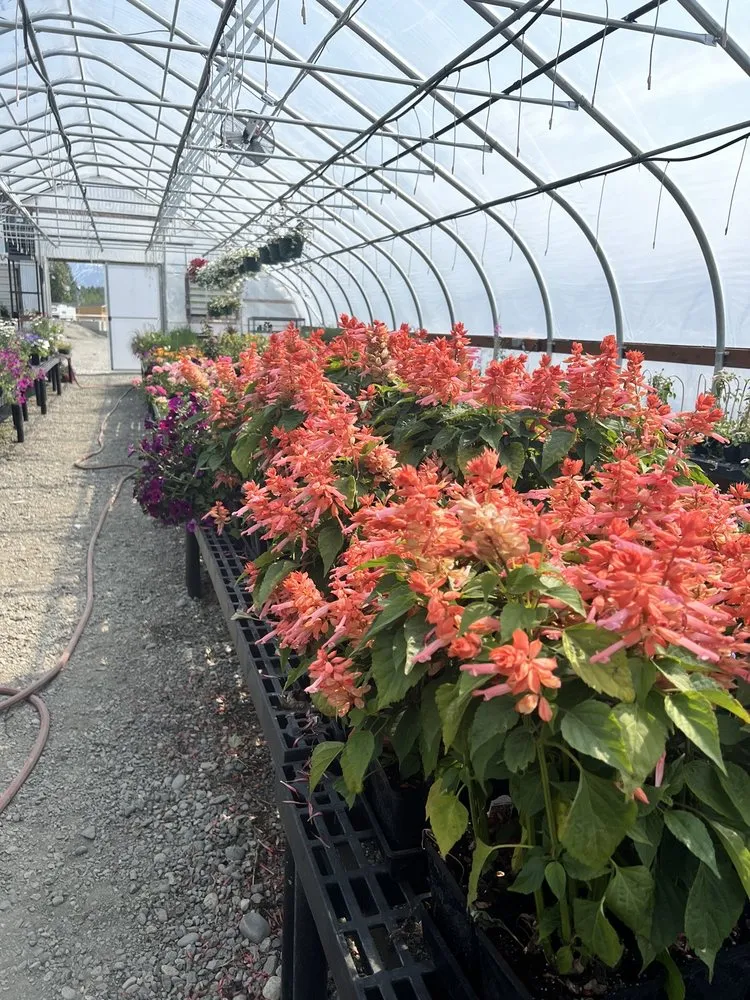 Custom landscape design experts serving Wasilla, AK - Ken's Garden Center