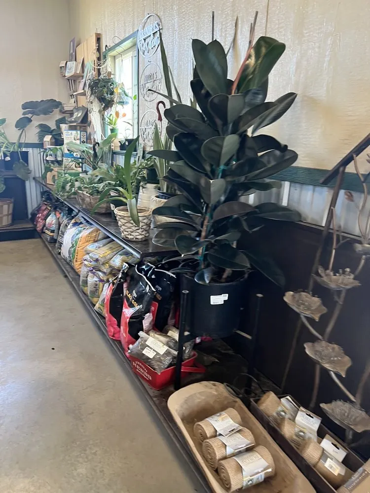 Reliable landscape design with custom design across Wasilla, AK - Ken's Garden Center