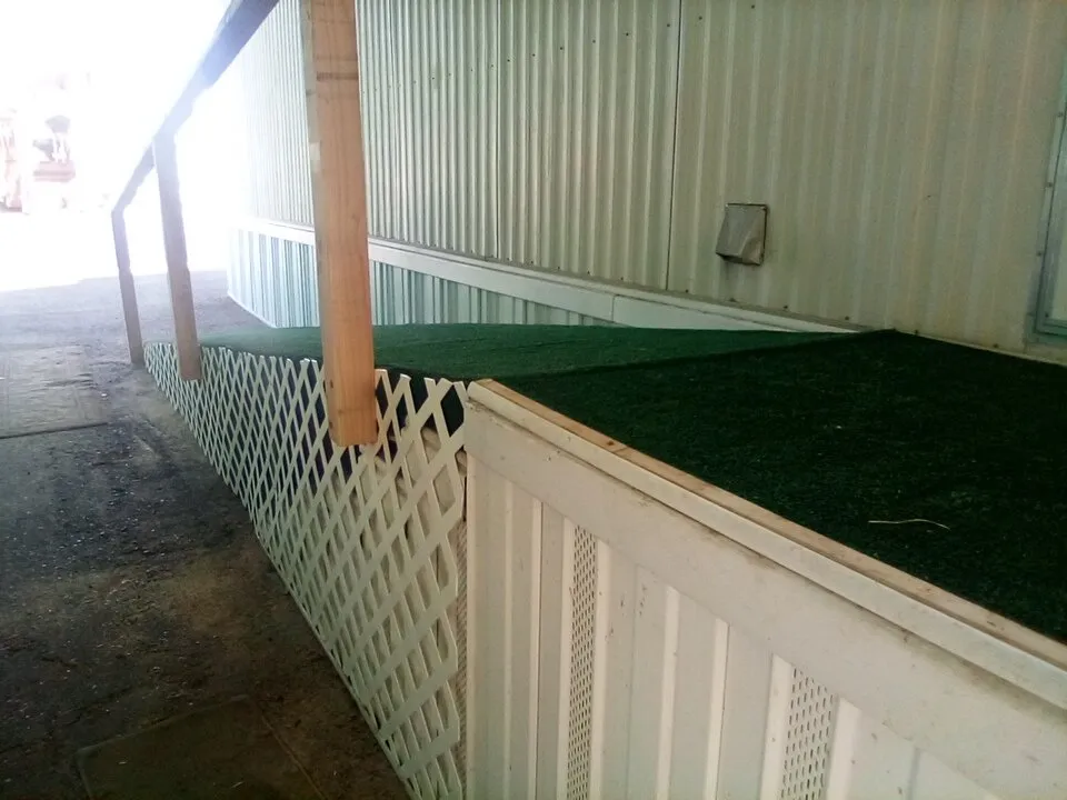 Professional lawn care service in Paradise, CA by Ken's Handy Services