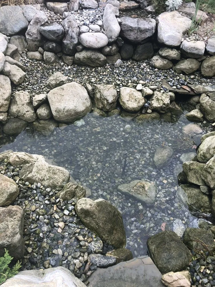 Reliable yard maintenance experts serving Rancho Cucamonga, CA - Ken's Home and Pond Experts