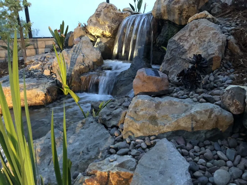 Professional yard maintenance for year-round maintenance in Rancho Cucamonga, CA by Ken's Home and Pond Experts