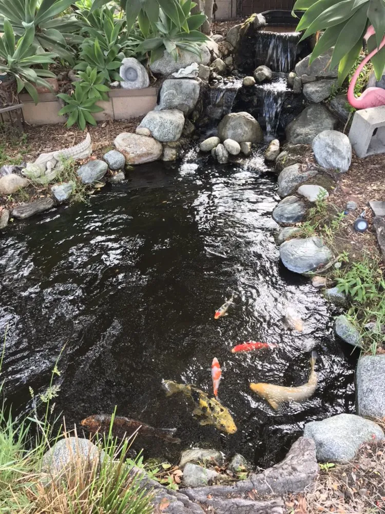 Local residential landscaping in Rancho Cucamonga, CA - Ken's Home and Pond Experts