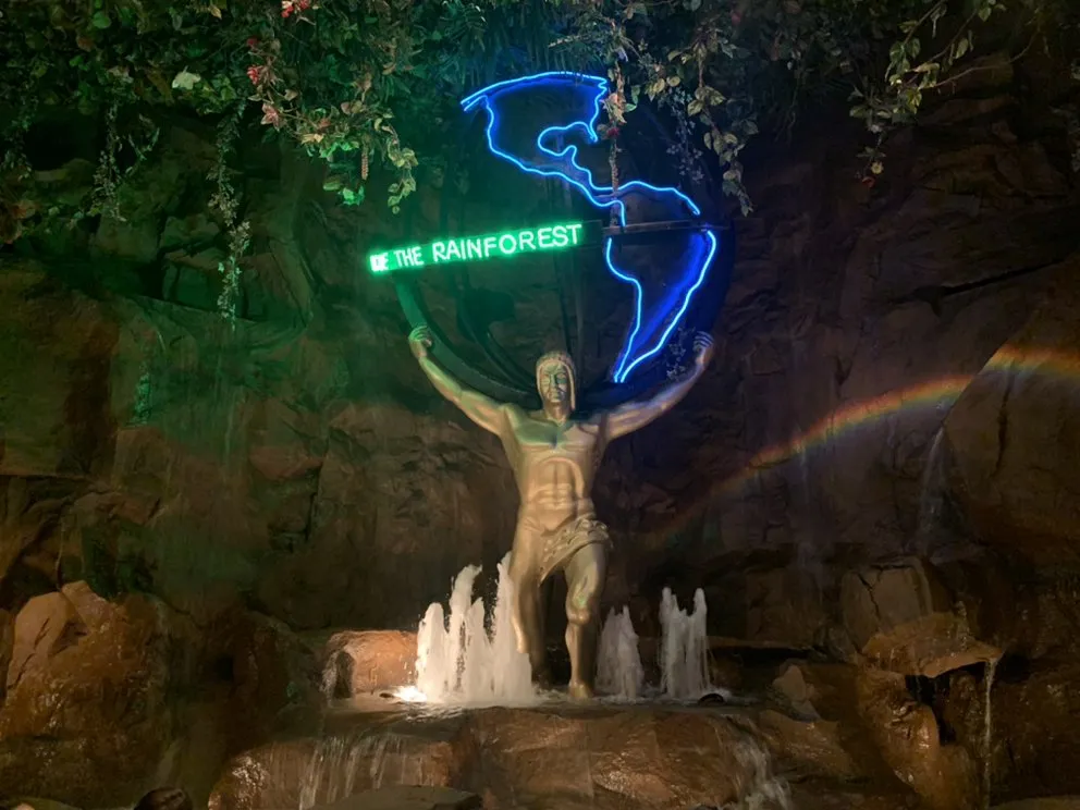 Local yard cleanup service with custom design across Rancho Cucamonga, CA - Ken's Home and Pond Experts