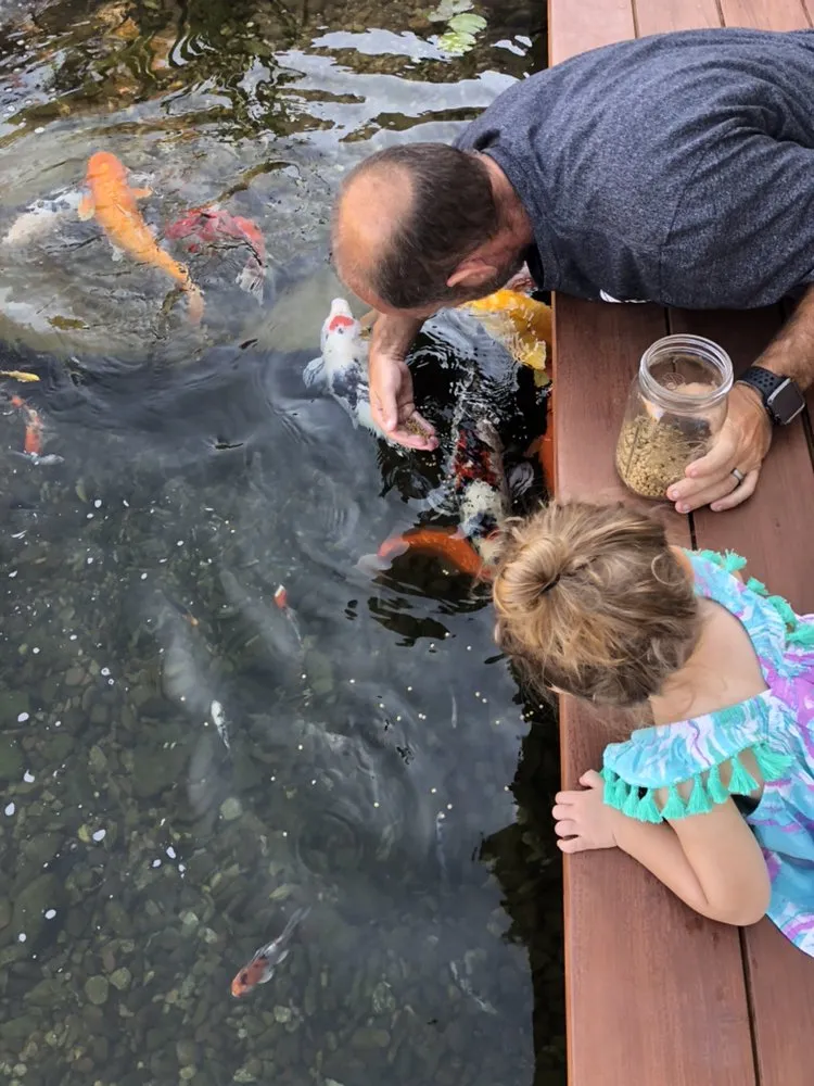 Affordable outdoor landscaping experts serving Rancho Cucamonga, CA - Ken's Home and Pond Experts