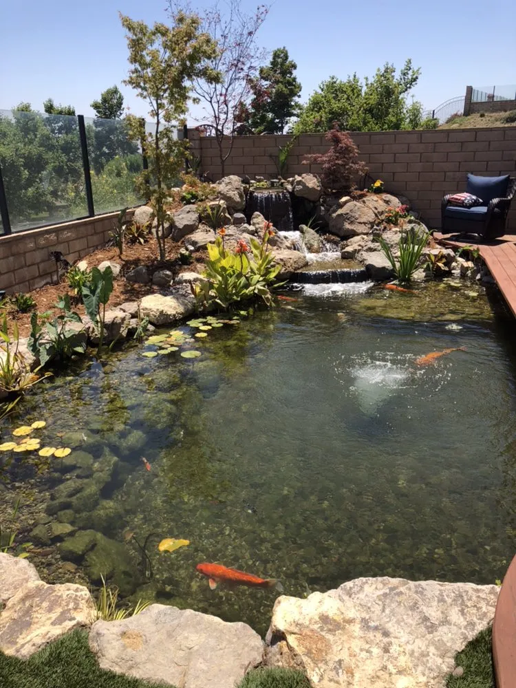 Reliable yard cleanup service in Rancho Cucamonga, CA by Ken's Home and Pond Experts
