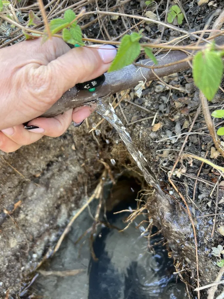 Reliable landscaping services near you in Riverside, CA by Ken’s Landscape