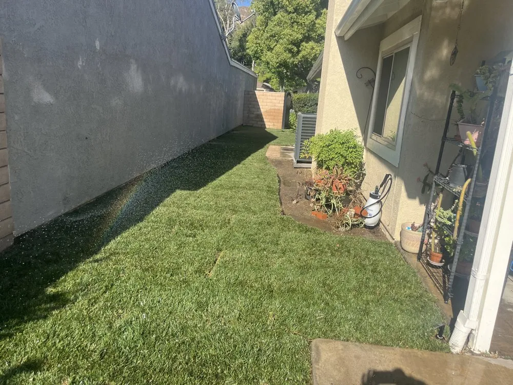Local lawn mowing service in Riverside, CA by Ken’s Landscape