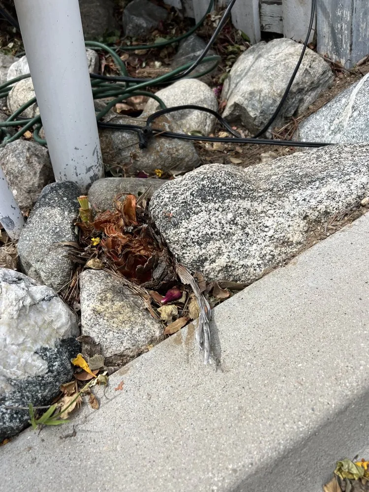 Professional lawn care service experts serving Riverside, CA - Ken’s Landscape